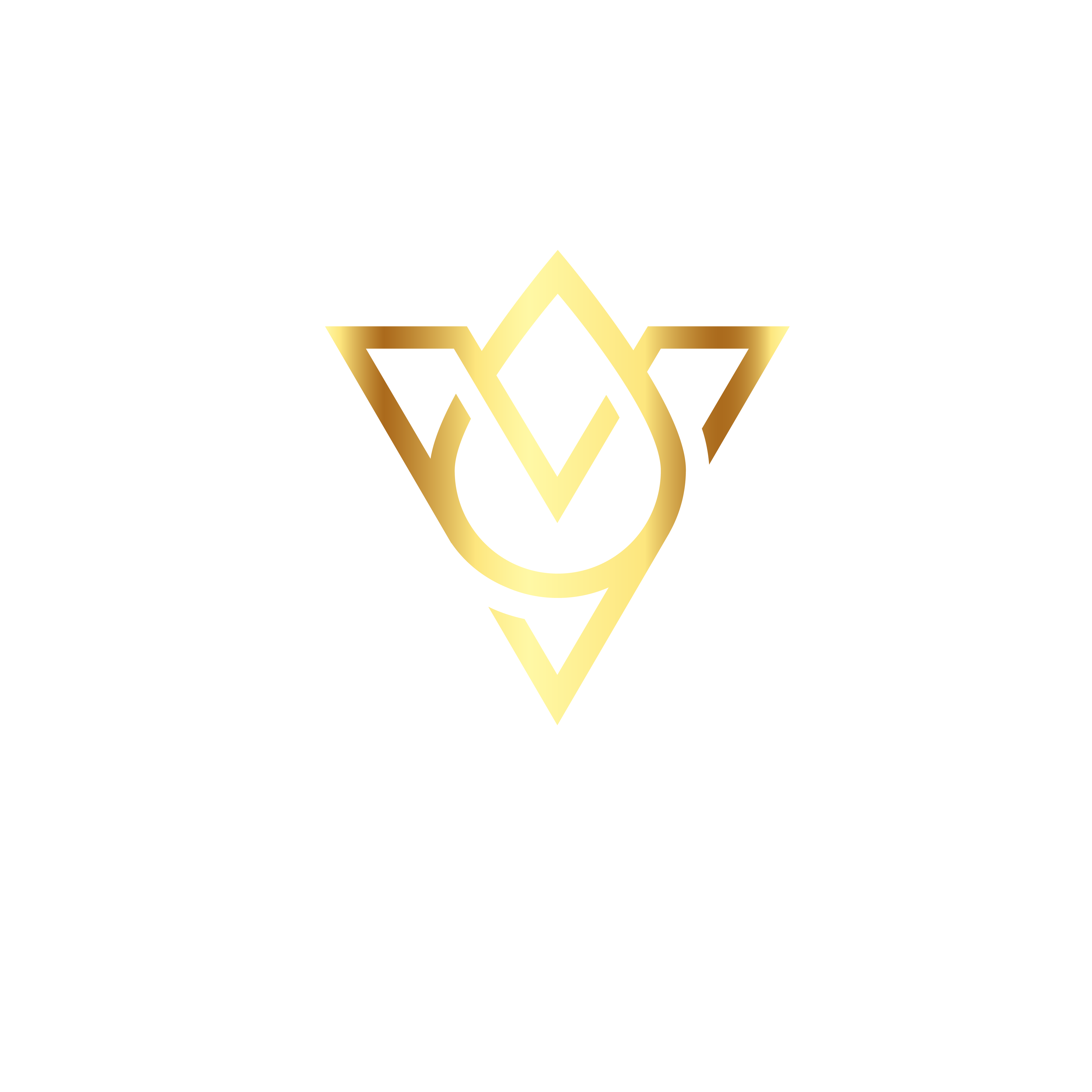 Vita Pro Cleaning